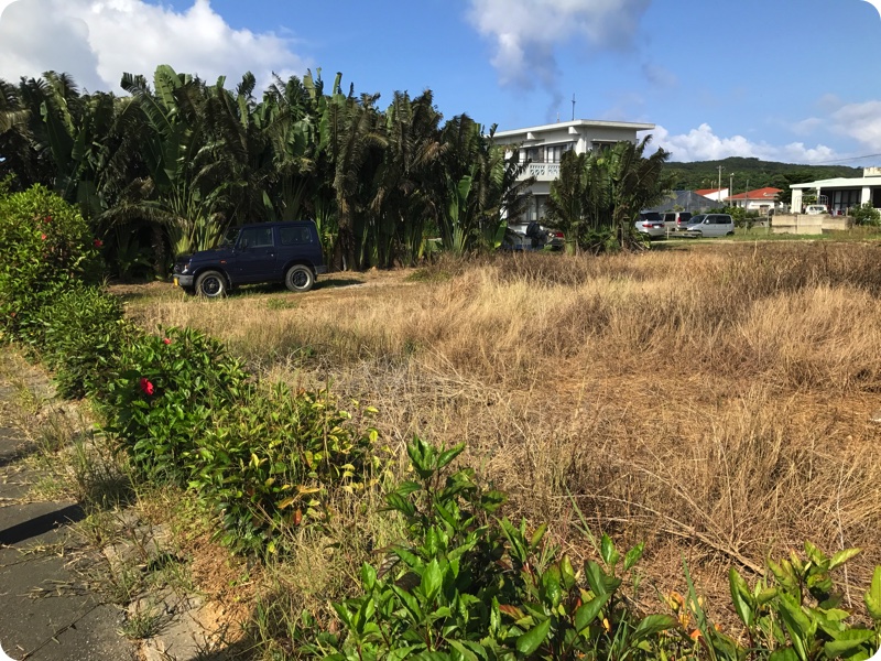 「西表島で木造住宅を極力1人で建てる」のブログ公開開始